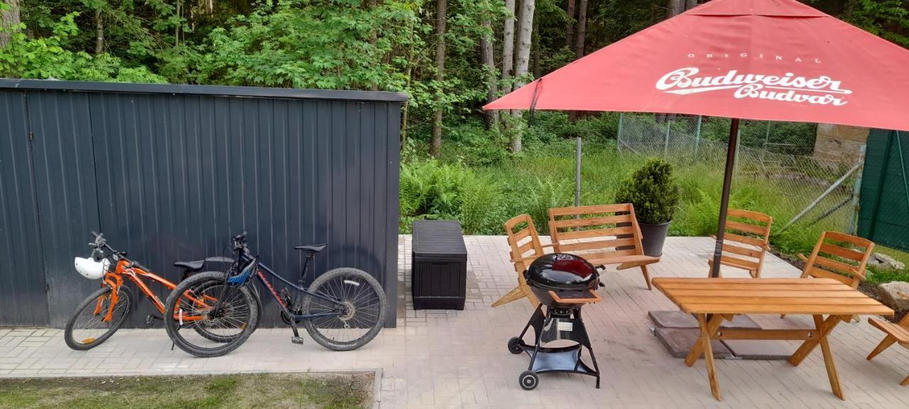 Apartmany Aktiv Lipno 리프노나드비타보브 외부 사진